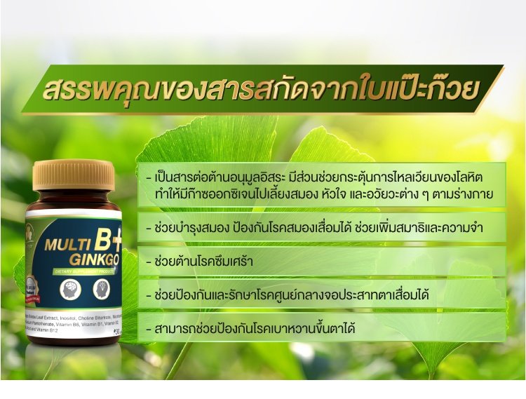 Clover Plus ,Clover Plus Multi B Plus Ginkgo ,Multi B Plus Ginkgo 30 Capsule ,มัลติบี พลัส จิงโกะ ,clover plus multi b+ ginkgo ,clover plus pantip ,clover plus ดีไหม ,clover plus มัลติบี พลัส จิงโกะ ,clover plus มัลติบี พลัส จิงโกะ ราคา