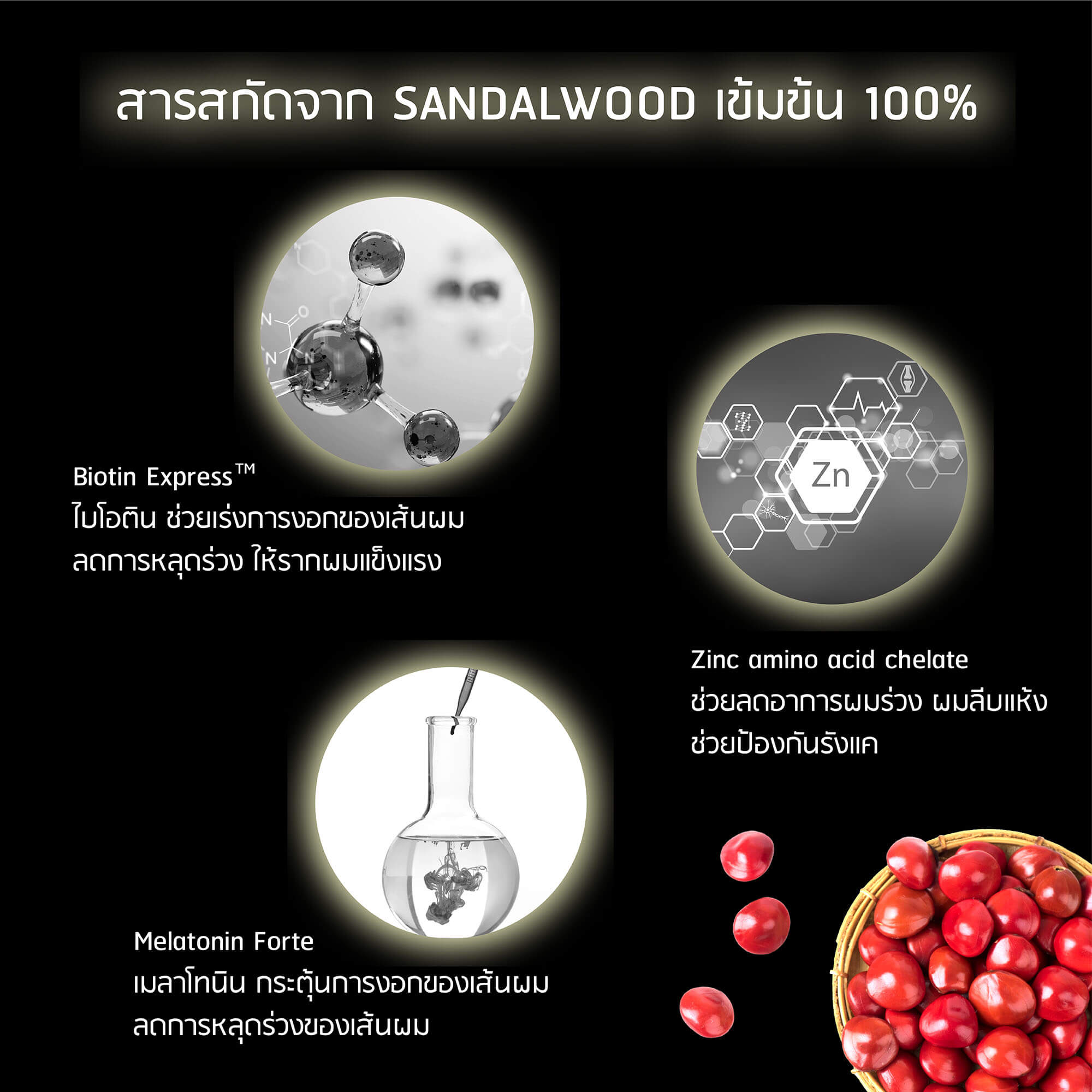 The Oriental Essence Sandalwood 